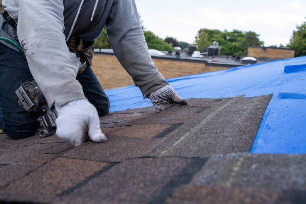 Best Roof Leak Repair  in Delhi Hills, OH