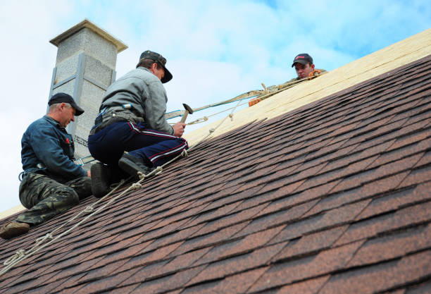 Best Best Roofing Contractors  in Delhi Hills, OH